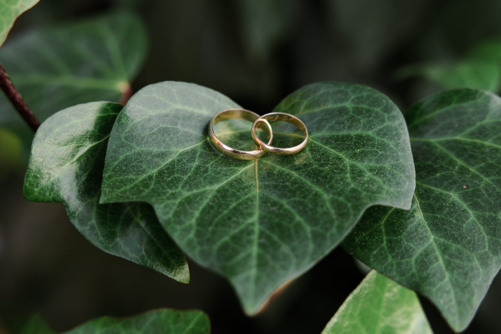 Aprontes & Detalles 26
