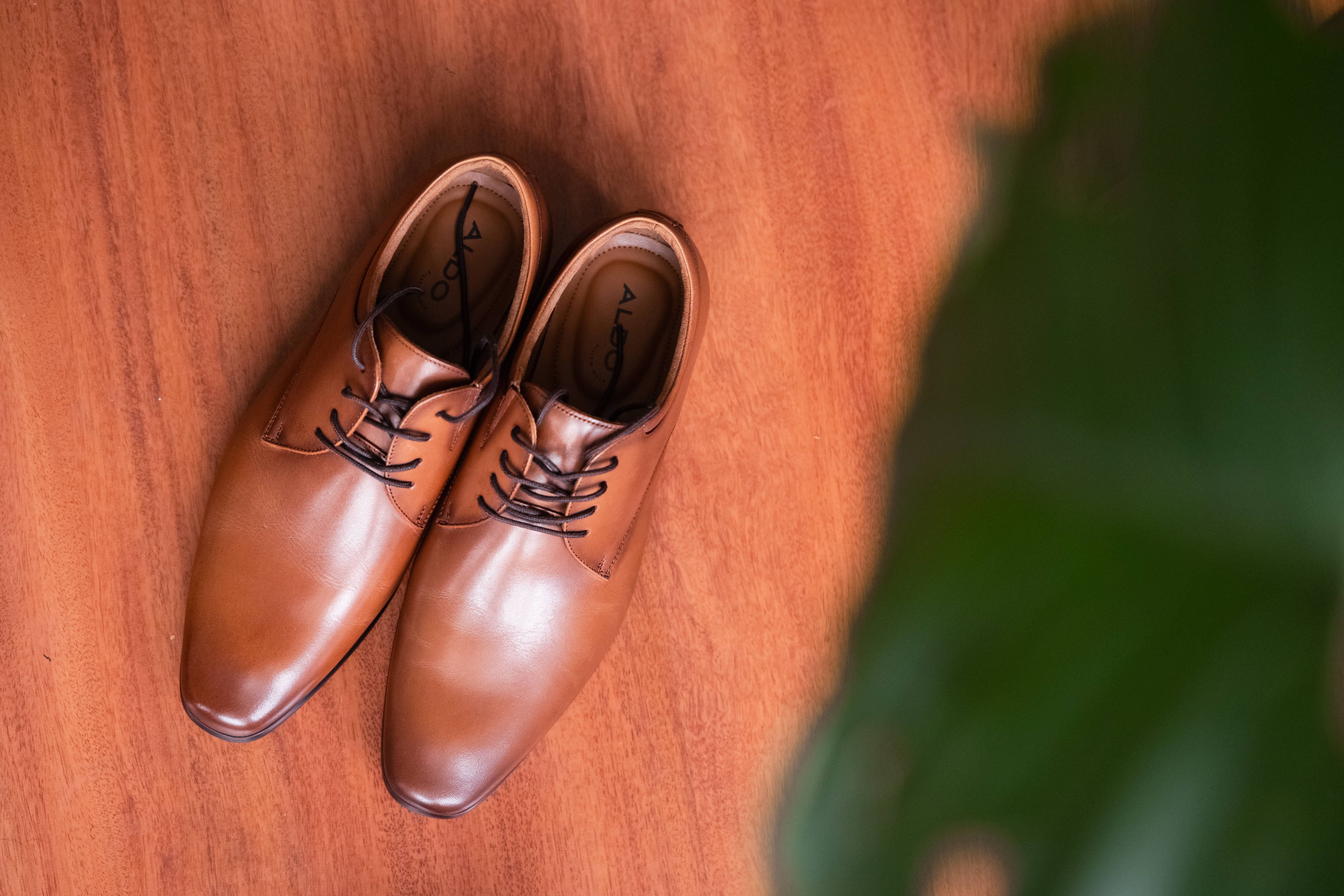 Zapatos de cuero marrón del novio sobre piso de madera